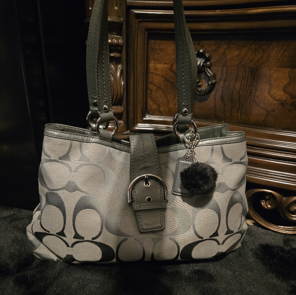 Stylish Gray Coach Women's Bag